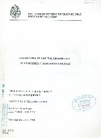 Imagen de la cubierta de Estructura de capital en bancos e instituciones financieras chilenas