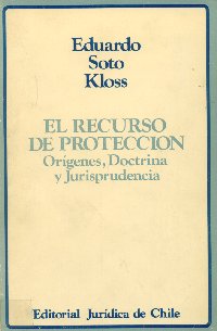 Imagen de la cubierta de El recurso de protecci&oacute;n.