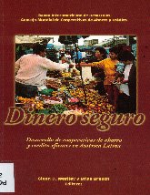 Imagen de la cubierta de Dinero seguro.
