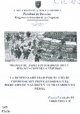 Imagen de la cubierta de La responsabilidad por el uso de informaci&oacute;n privilegiada en el mercado de valores y su tratamiento penal.