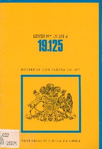 Imagen de la cubierta de Leyes N&ordm; 19.101 a 19.125.