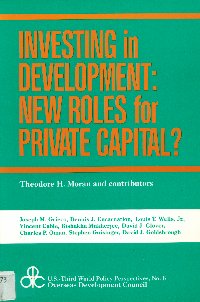 Imagen de la cubierta de Investing in development: