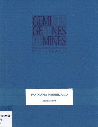 Imagen de la cubierta de Panorama inmobiliario