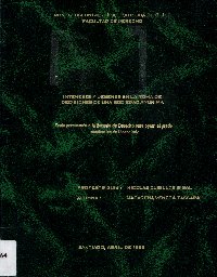 Imagen de la cubierta de Intereses y deberes en la toma de decisiones de una sociedad anónima