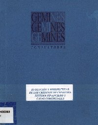 Imagen de la cubierta de Evolución y perspectivas de los créditos de consumo: sistema financiero y casas comerciales