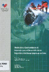 Imagen de la cubierta de Obstáculos y oportunidades de inversión para el desarrollo de las pequeñas y medianas empresas en Chile