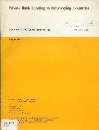 Imagen de la cubierta de Private bank lending to developing countries: