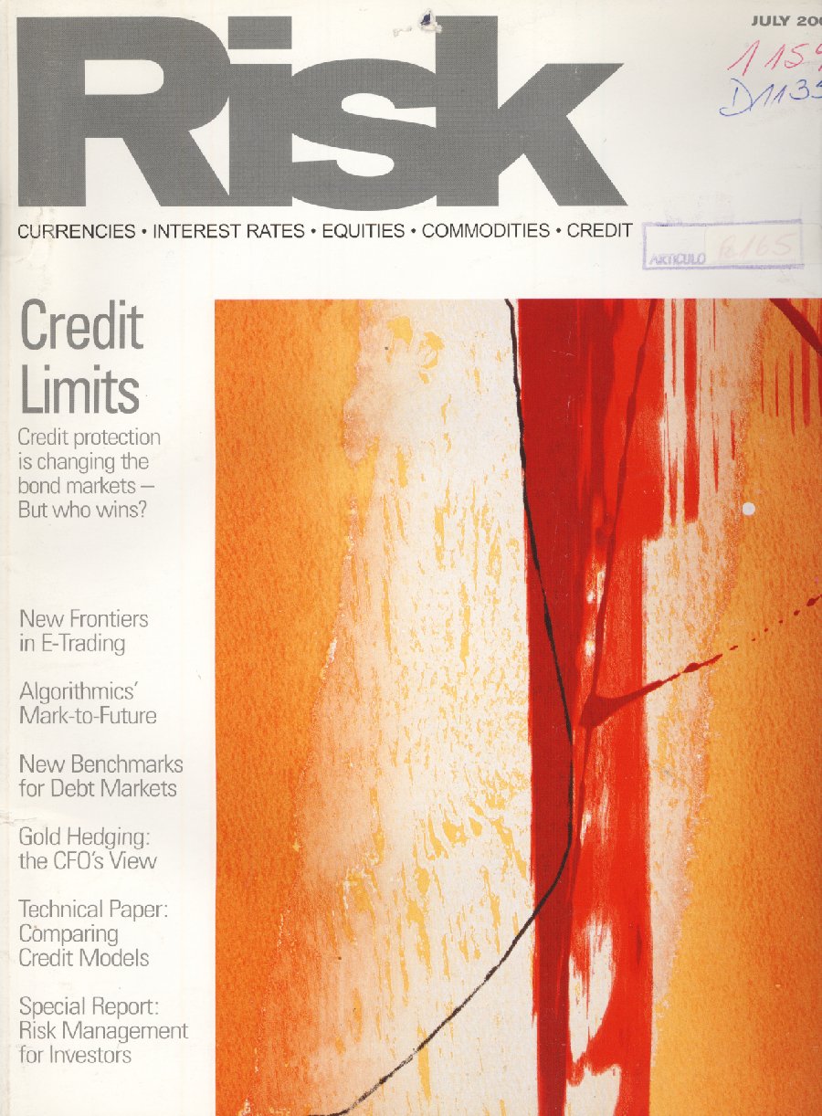 Imagen de la cubierta de A credit risk catwalk
