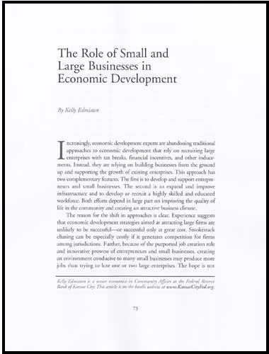 Imagen de la cubierta de The role of small and large business in economic development