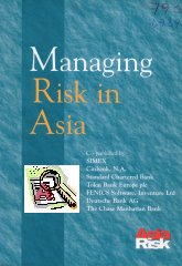 Imagen de la cubierta de Managing risk in Asia