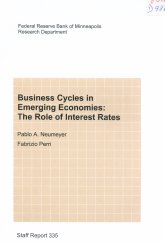 Imagen de la cubierta de Busines cycles in emerging economies: the role of interest rates