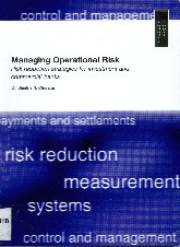 Imagen de la cubierta de Managing operational risk