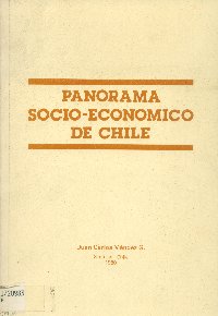 Imagen de la cubierta de Panorama socio-económico de Chile