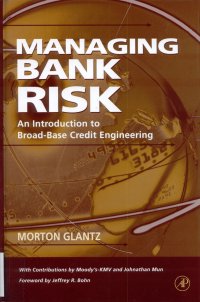 Imagen de la cubierta de Managing bank risk