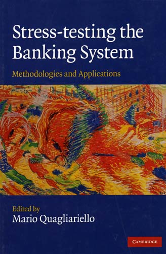 Imagen de la cubierta de Stress-testing the banking system