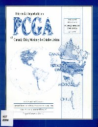 Imagen de la cubierta de Diferencias importantes en PCGA en Canadá, Chile, México y los Estados Unidos