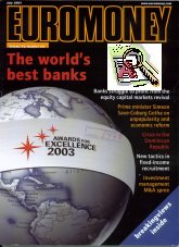 Imagen de la cubierta de Euromoney awards for excellence 2003